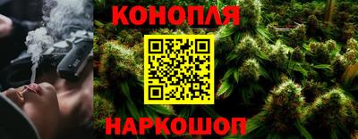 МДПВ Гатчина